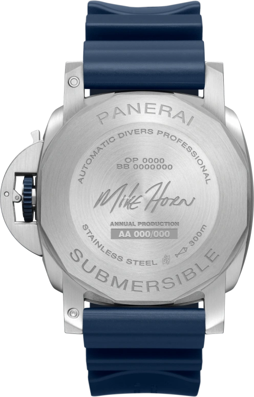 Panerai,Submersible 44mm,44mm,Stainless Steel,Blue,Automatic,72hours,In-house Caliber,Mike Horn,PAM01676