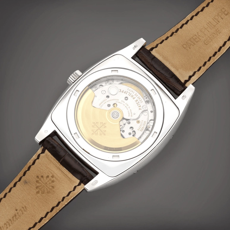 Patek Philippe,Complications 38x51mm,38x51mm,White Gold,Silver,Automatic,Moonphase,Annual Calendar,Month,Date,45hours,In-house Caliber,5135G,5135G-001