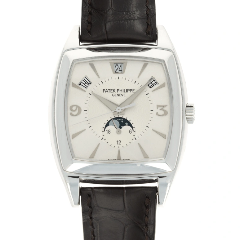 Patek Philippe,Complications 38x51mm,38x51mm,White Gold,Silver,Automatic,Moonphase,Annual Calendar,Month,Date,45hours,In-house Caliber,5135G,5135G-001