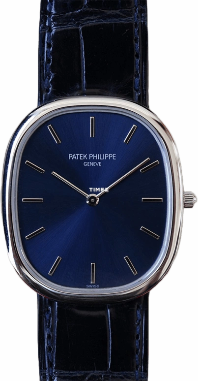 Patek Philippe,Golden Ellipse 31mm,31mm,Platinum,Blue,Automatic,48hours,In-house Caliber,3738,3738/100P-001