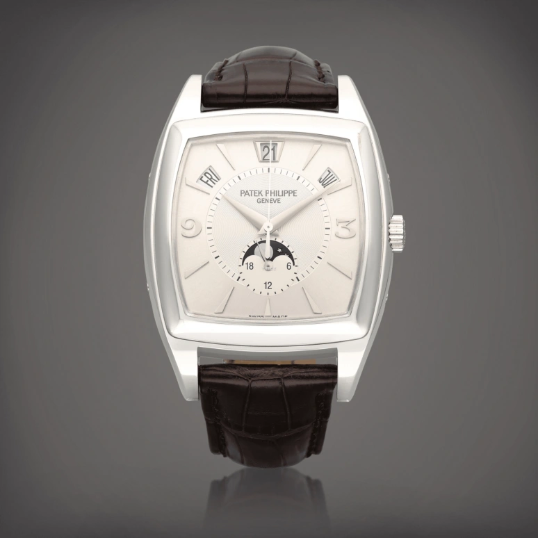Patek Philippe,Complications 38x51mm,38x51mm,White Gold,Silver,Automatic,Moonphase,Annual Calendar,Month,Date,45hours,In-house Caliber,5135G,5135G-001