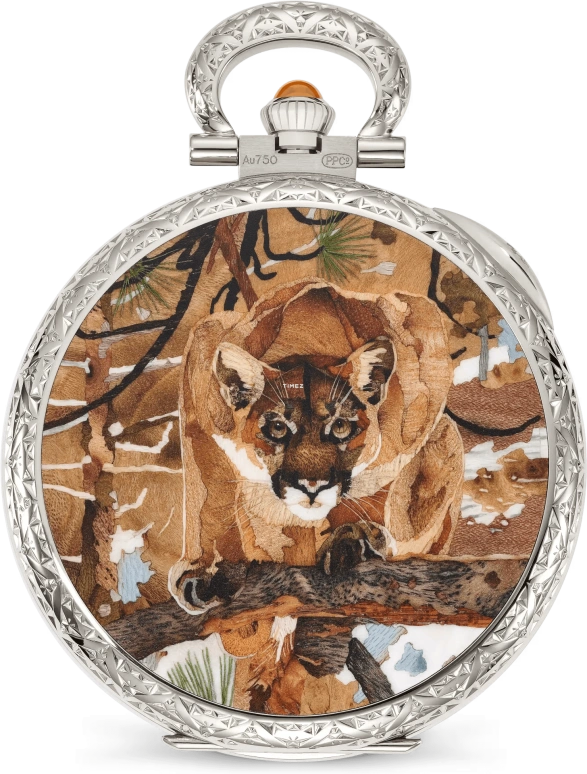 Patek Philippe,Pocket Watches 45mm,45mm,White Gold,Brown,Handwound,42hours,In-house Caliber,995,995/150G-001