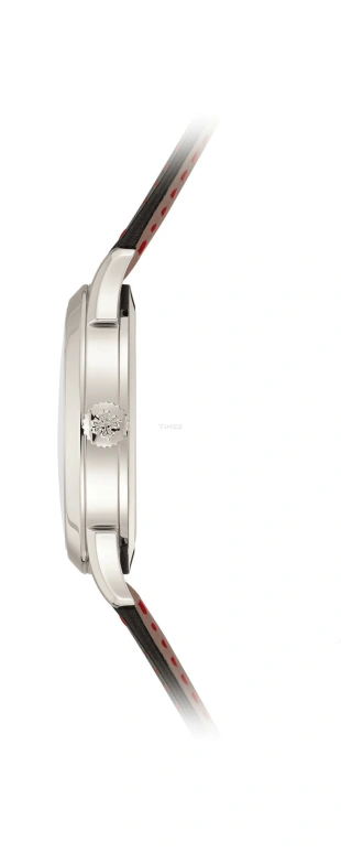Patek Philippe,Complications 38.50mm,38.50mm,Platinum,Red,Automatic,World Time,Day / Night Indication,5230P,5230P-010