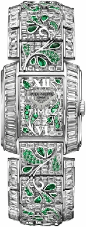 Patek Philippe Twenty~4 4909/107G-001