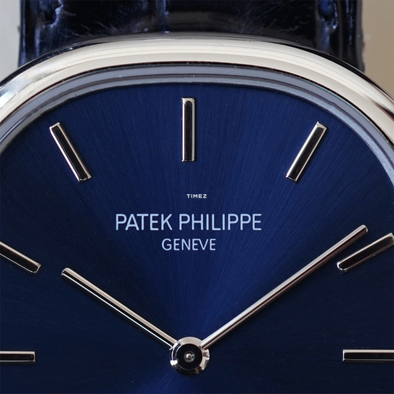 Patek Philippe,Golden Ellipse 31mm,31mm,Platinum,Blue,Automatic,48hours,In-house Caliber,3738,3738/100P-001