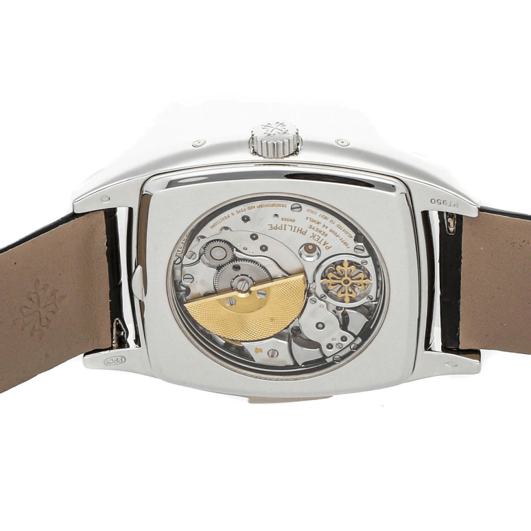 Patek Philippe,Grand Complications 38x51mm,38x51mm,Platinum,White,Silver,Automatic,Annual Calendar,Month,Date,Day,48hours,In-house Caliber,5033P,5033P-010