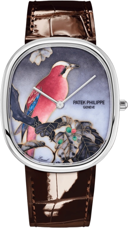 Patek Philippe Golden Ellipse 5738/50G-011