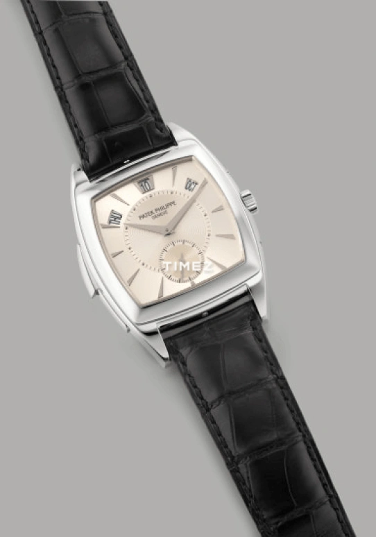 Patek Philippe,Grand Complications 38x51mm,38x51mm,Platinum,White,Silver,Automatic,Annual Calendar,Month,Date,Day,48hours,In-house Caliber,5033P,5033P-010