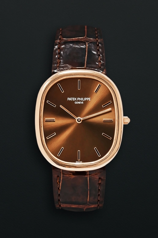 Patek Philippe,Golden Ellipse 31.10mm,31.10mm,Rose Gold,Brown,Automatic,48hours,In-house Caliber,3738,3738/100R-001