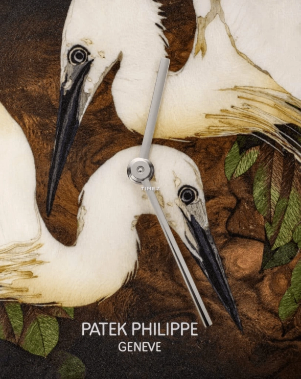 Patek Philippe,Golden Ellipse ,White Gold,White,Brown,Automatic,48hours,In-house Caliber,5738,5738/50G-031