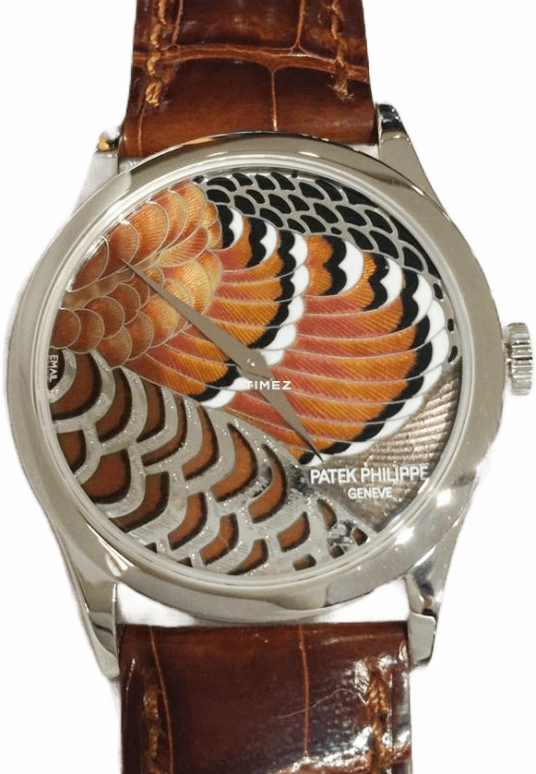 Patek Philippe,Calatrava 38mm,38mm,Platinum,Brown,Multi-Color,Automatic,48hours,In-house Caliber,5077P Feathers