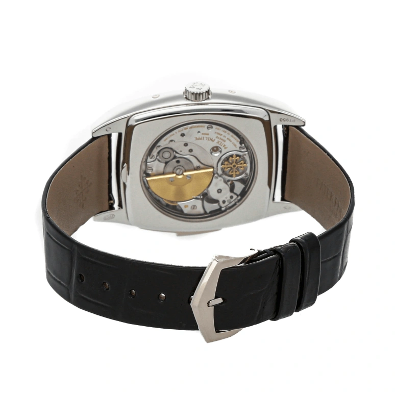 Patek Philippe,Grand Complications 38x51mm,38x51mm,Platinum,White,Silver,Automatic,Annual Calendar,Month,Date,Day,48hours,In-house Caliber,5033P,5033P-010