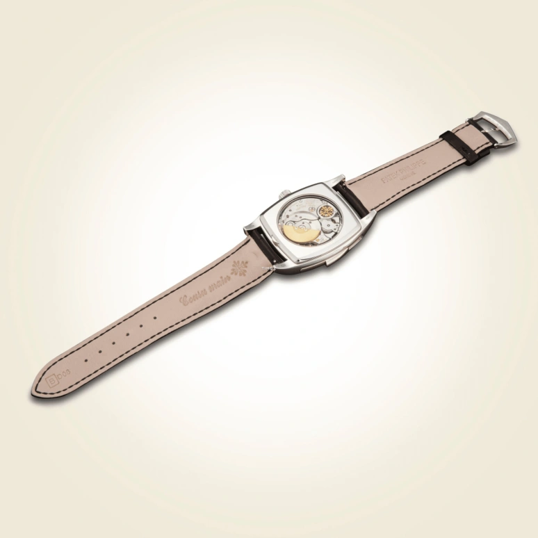 Patek Philippe,Grand Complications 38x51mm,38x51mm,Platinum,Black,Automatic,Annual Calendar,Month,Date,Day,48hours,In-house Caliber,5033P,5033P-012