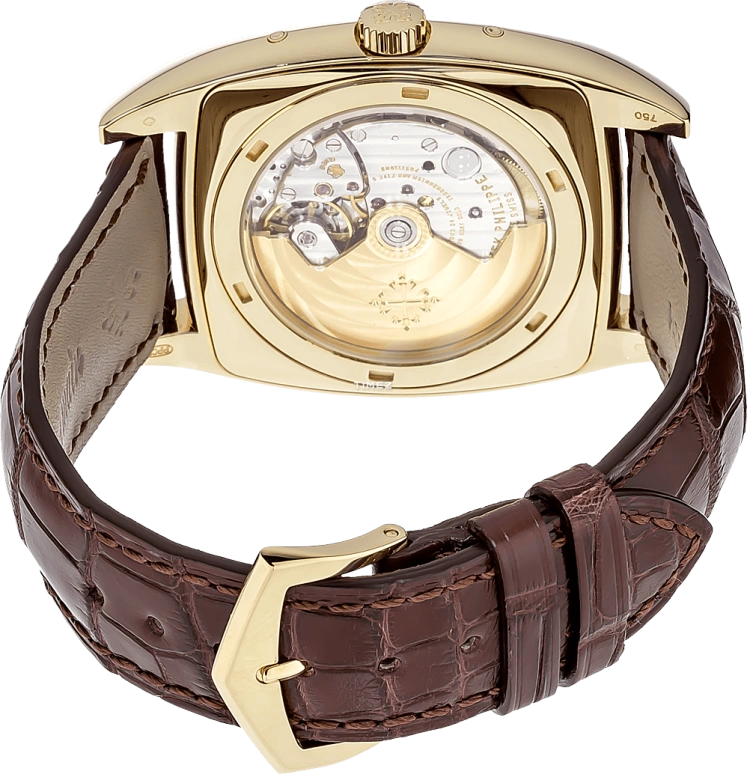 Patek Philippe,Complications 38x51mm,38x51mm,Yellow Gold,White,Automatic,Moonphase,Annual Calendar,Month,Date,45hours,In-house Caliber,5135J,5135J-001