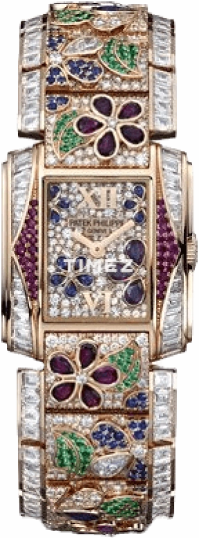 Patek Philippe Twenty~4 4909/100R-001