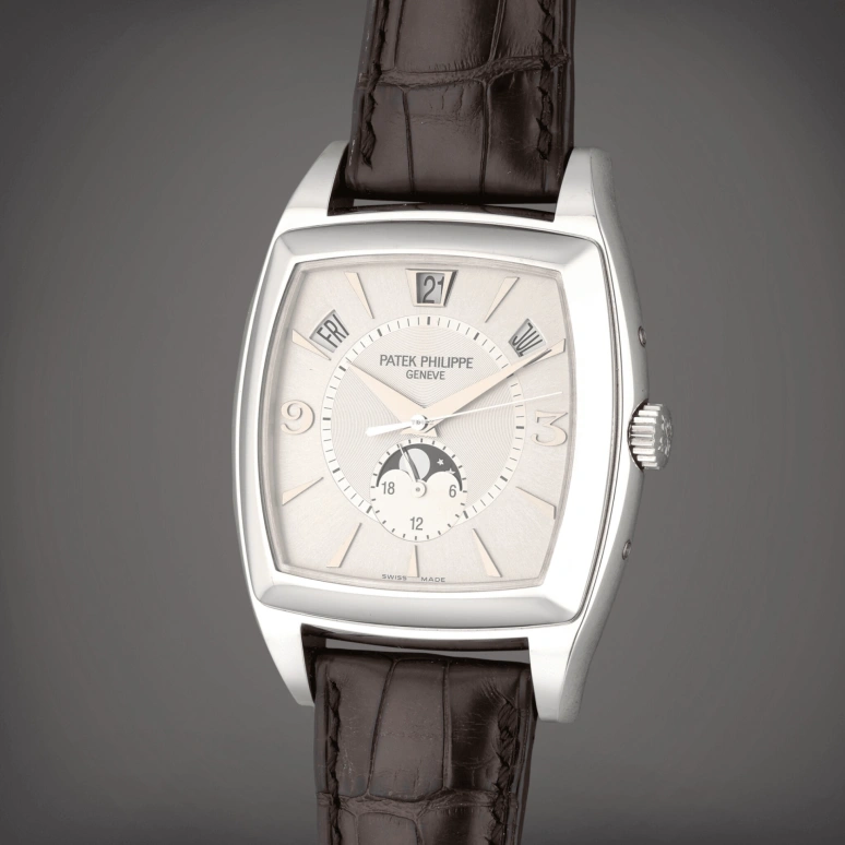Patek Philippe,Complications 38x51mm,38x51mm,White Gold,Silver,Automatic,Moonphase,Annual Calendar,Month,Date,45hours,In-house Caliber,5135G,5135G-001