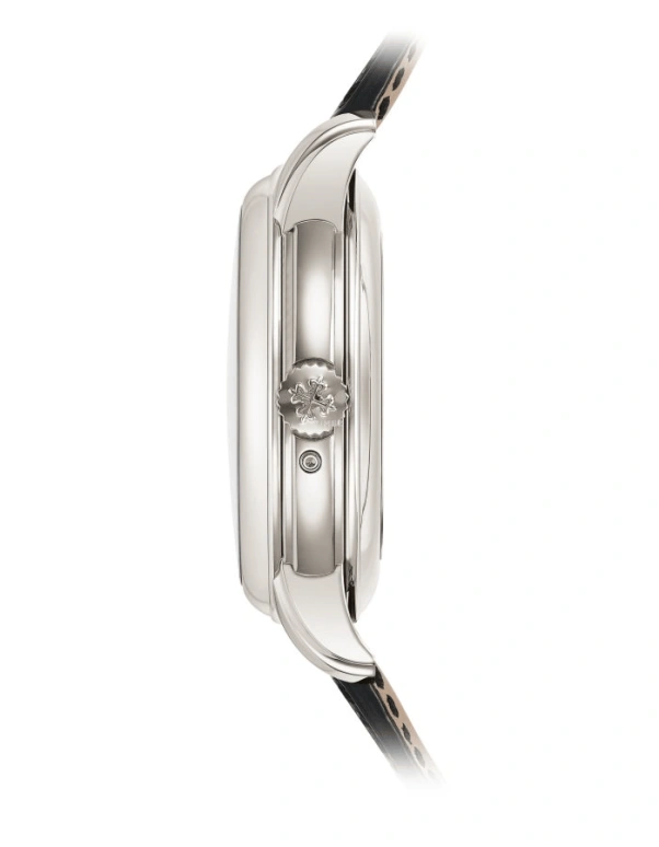 Patek Philippe,Grand Complications 40.20mm,40.20mm,Platinum,Black,Handwound,Moonphase,Perpetual Calendar,Leap Year,Month,48hours,In-house Caliber,5316P,5316P-001