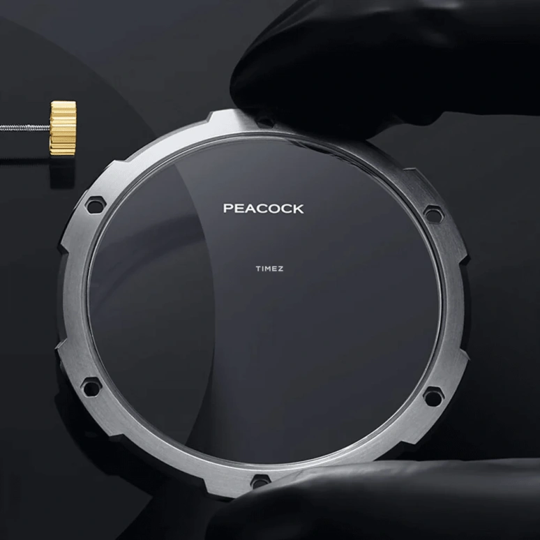 Peacock,Top Racing 45mm,45mm,Stainless Steel,Silver,Handwound,Tourbillon,45hours,PAG0103,PAG0103.01