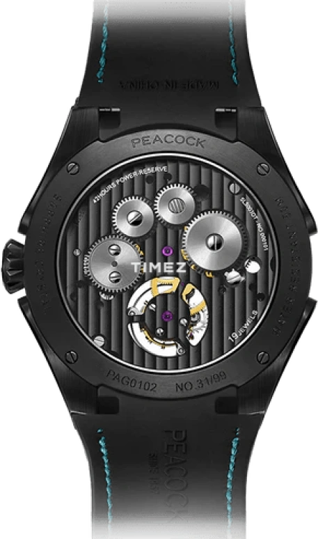 Peacock,Extraordinary 45.50mm,45.50mm,Stainless Steel,Green,Black,Handwound,Tourbillon,45hours,PAG0102,PAG0102.02