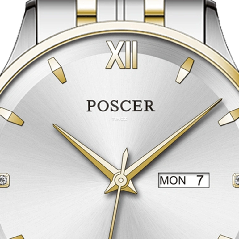 POSCER,classics 42mm,42mm,Stainless Steel,Silver,Automatic,Date,Day,P,P.6187M.VVW