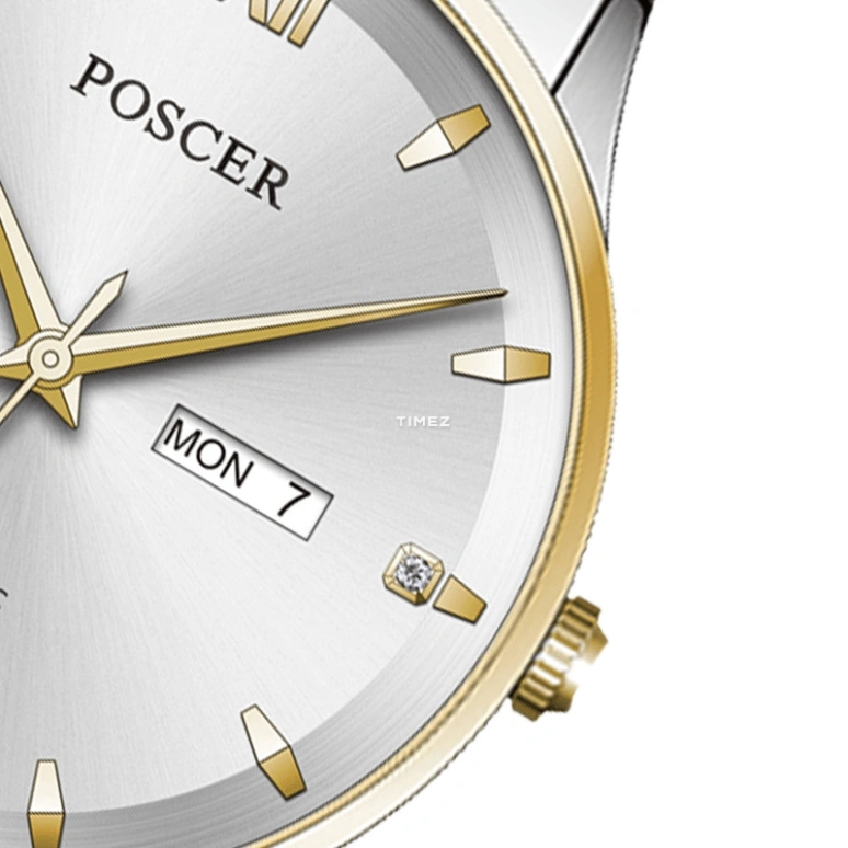 POSCER,classics 42mm,42mm,Stainless Steel,Silver,Automatic,Date,Day,P,P.6187M.VVW