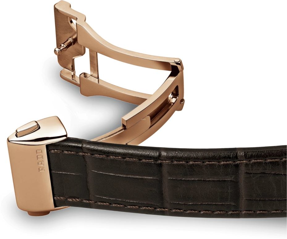 Rado,Coupole 41mm,41mm,Stainless Steel,Black,Automatic,Day,In-house Caliber,R22877165