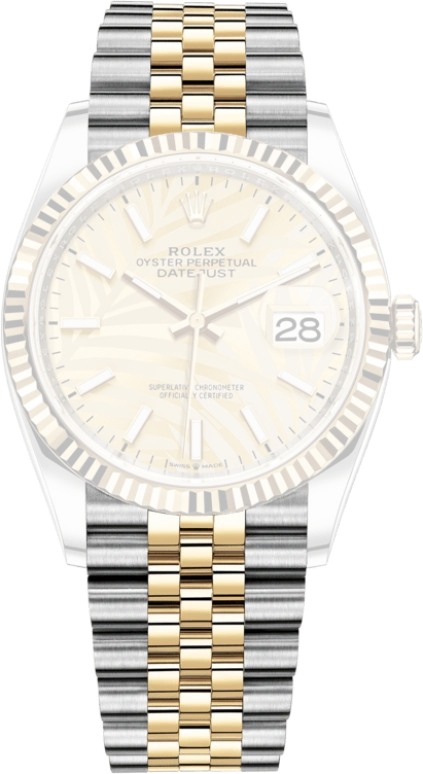 Rolex,Datejust 36 36mm,36mm,Yellow Gold,Stainless Steel,Champagne,Automatic,Day,70hours,126233,126233-0037