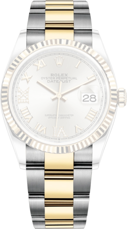 Rolex,Datejust 36 36mm,36mm,Yellow Gold,Stainless Steel,Silver,Automatic,Day,70hours,126233,126233-0032