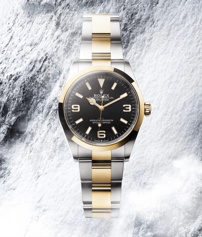 Rolex,Explorer 36mm,36mm,Stainless Steel,Black,Automatic,70hours,In-house Caliber,124273,124273-0001