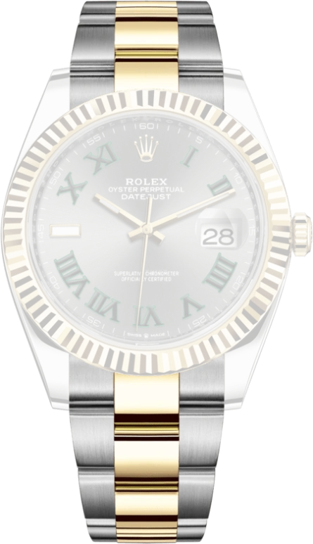 Rolex,Datejust 41 41mm,41mm,Yellow Gold,Oystersteel,Stone Gray,Automatic,Day,70hours,126333,126333-0019