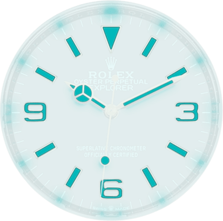 Rolex,Explorer 36mm,36mm,Stainless Steel,Black,Automatic,70hours,In-house Caliber,124273,124273-0001