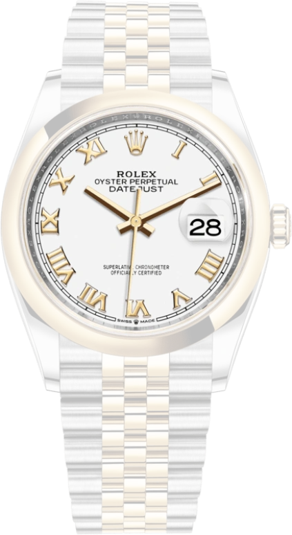Rolex,Datejust 36 36mm,36mm,Yellow Gold,Stainless Steel,White,Automatic,Day,70hours,126203,126203-0029