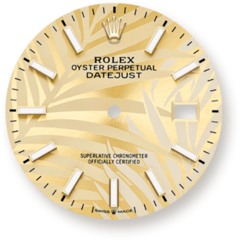 Rolex,Datejust 36 36mm,36mm,Yellow Gold,Stainless Steel,Champagne,Automatic,Day,70hours,126233,126233-0038