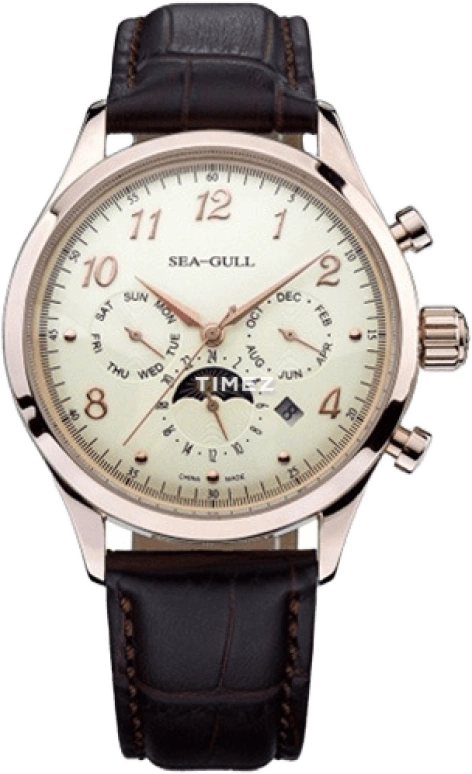 Sea-Gull Business D2869SG