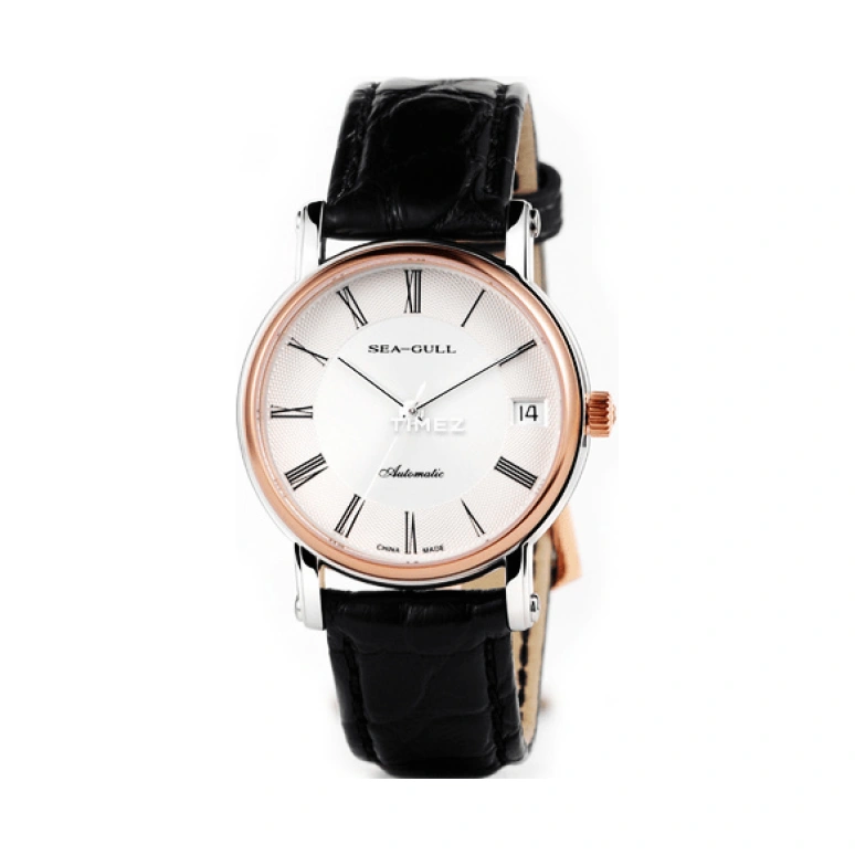 Sea-Gull,Couples 30.50mm,30.50mm,Stainless Steel,Silver White,Automatic,Day,Sapphire,218,218.377L