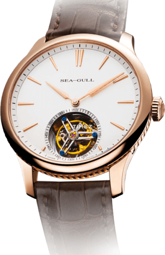 sea-gull sea-gull-collector 