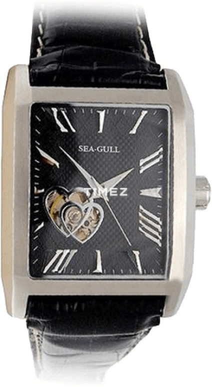 Sea-Gull Business M300SK