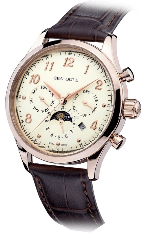 Sea-Gull,Business 39mm,39mm,Stainless Steel,Beige,Automatic,Month,Date,Day,D2869SG