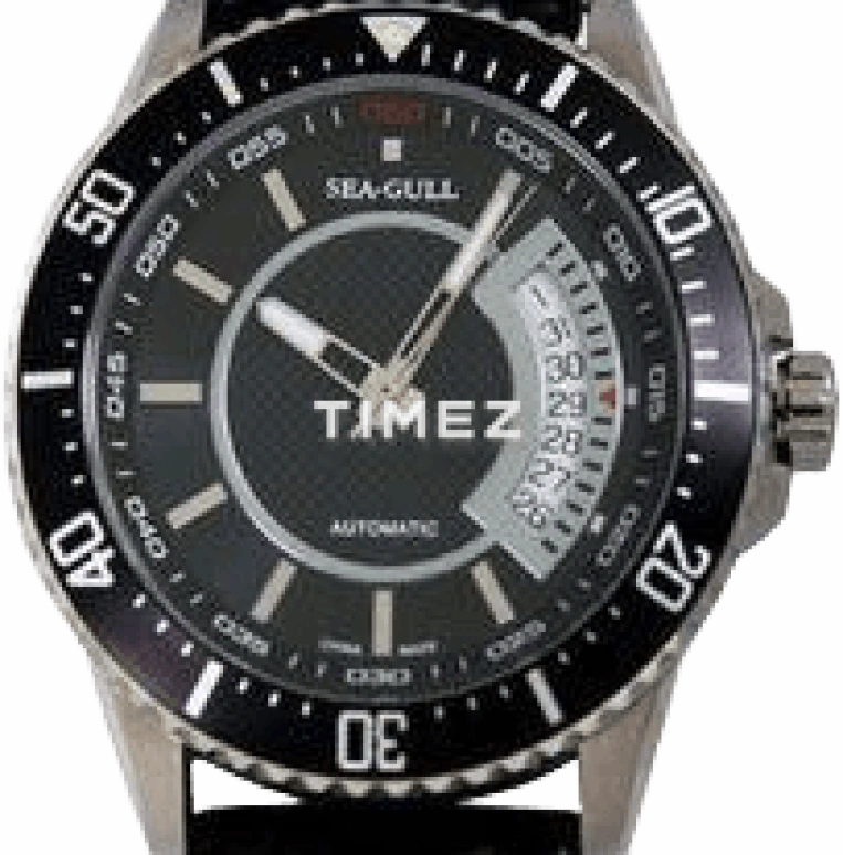 Sea-Gull Basic 819.310