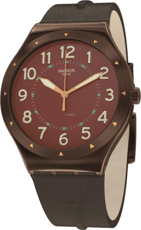 Swatch,IRONY 42.70x47.20mm,42.70x47.20mm,YWC100