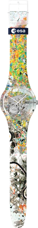 Swatch,Originals 41mm,41mm,Plastic,Multi-Color,Quartz,Round,Transparent,SUOK145,SUOK145-066