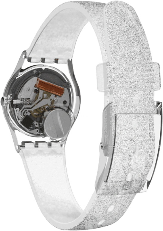 Swatch,Originals 25mm,25mm,Closed,LK343E