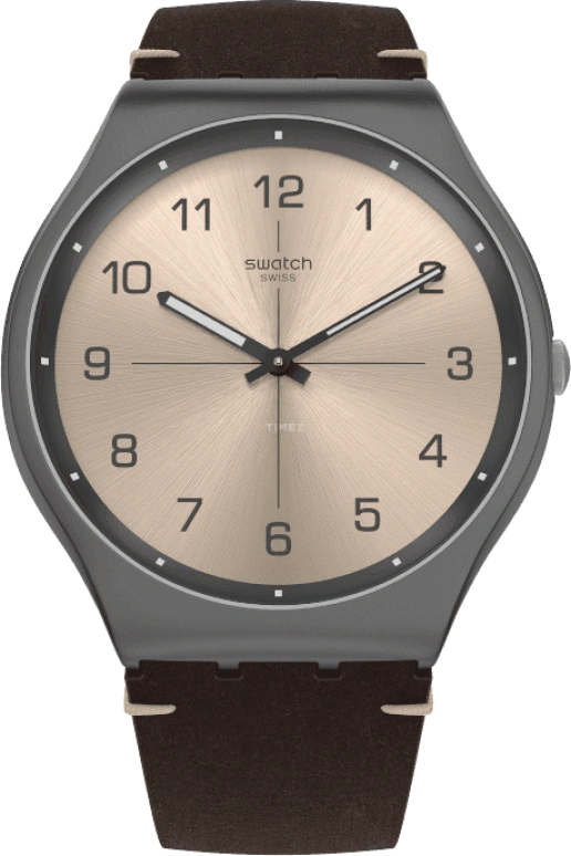 Swatch,SKIN ,SS07M100