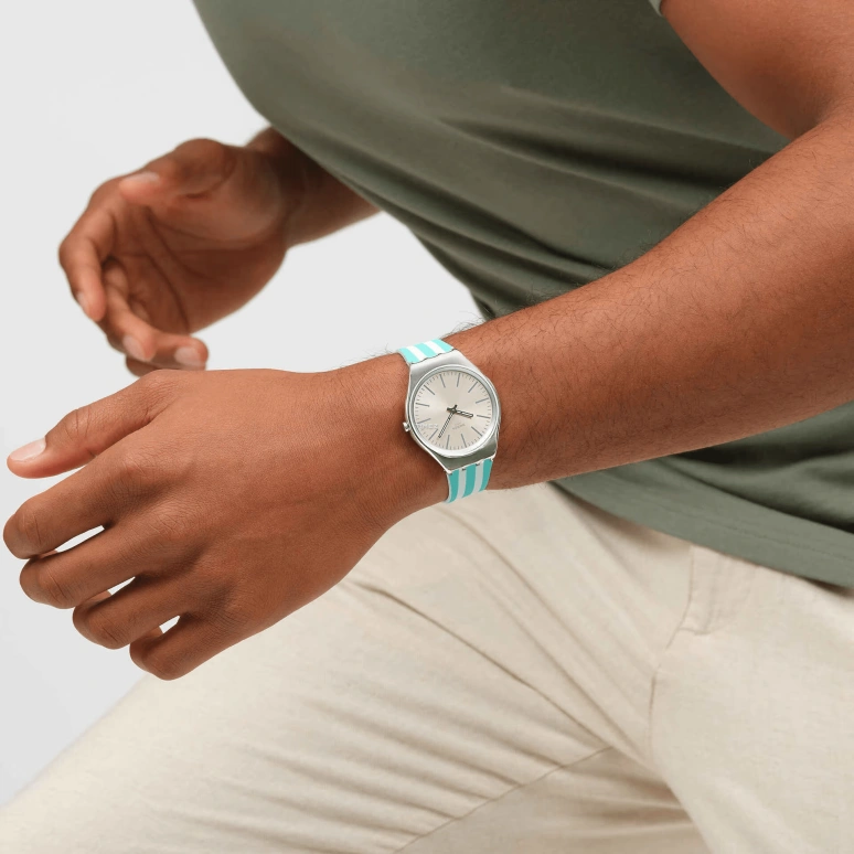Swatch,SKIN 38mm,38mm,Stainless Steel,Grey,Quartz,Round,Gray,SYXS160
