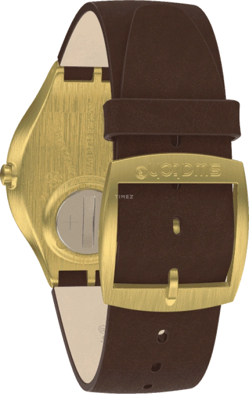 Swatch,SKIN ,SS07G100