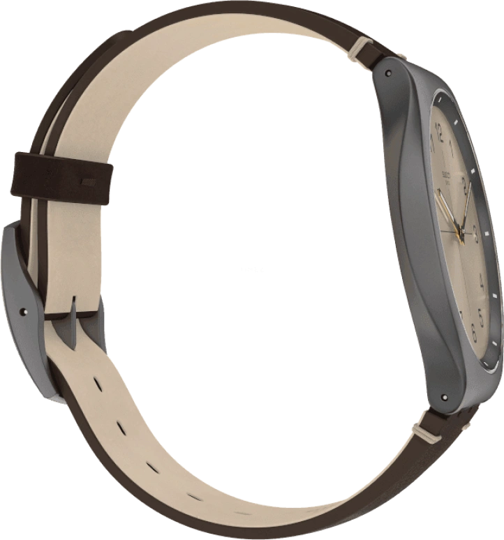 Swatch,SKIN ,SS07M100