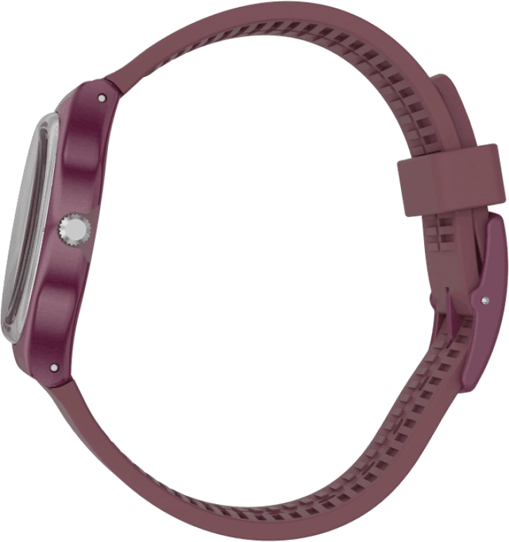 Swatch,Originals 34mm,34mm,Plastic,Purple Red,Closed,GR405