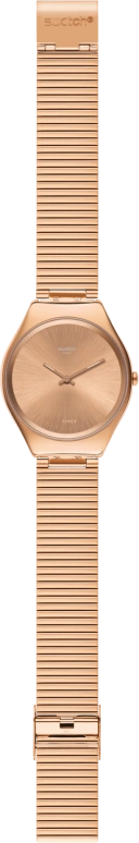 Swatch,SKIN ,Stainless Steel,Gold,SYXG101GG