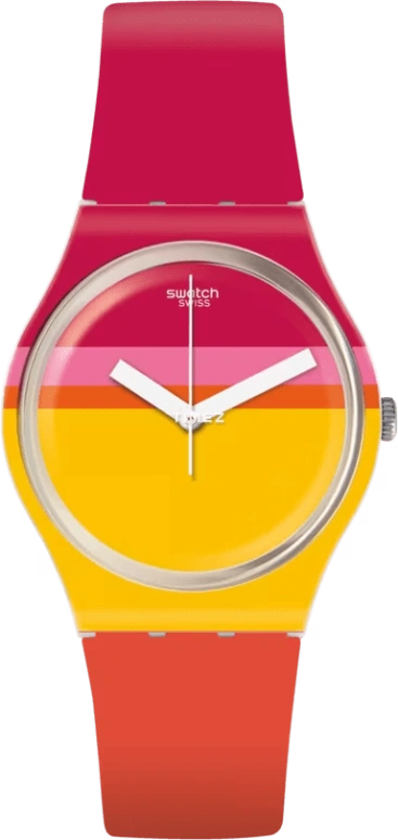 Swatch Originals GW198
