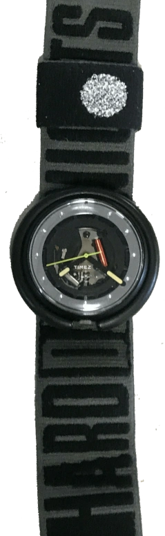 Swatch Other PWBB139